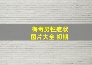 梅毒男性症状图片大全 初期